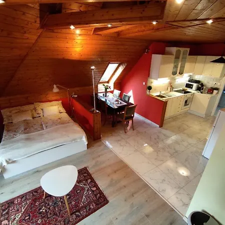 Joel Swiss 公寓 凯斯特海伊