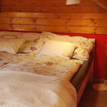 Joel Swiss 公寓 凯斯特海伊