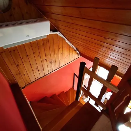 Joel Swiss * 凯斯特海伊